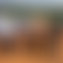 Multinacional DXN será a primeira empresa a se instalar no novo Distrito Industrial de Ibiá