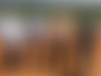 Multinacional DXN será a primeira empresa a se instalar no novo Distrito Industrial de Ibiá