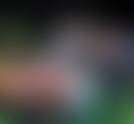 Primeira-dama de Santa Juliana e vereador eleito morrem em acidente envolvendo quatro veículos na LMG-798