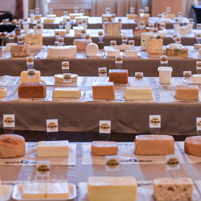 ExpoQueijo Brasil 2026 reúne produtores e especialistas de diversos países em Araxá