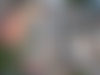 Prédio que abrigava lar de idosos desaba em BH deixando 6 mortos e um rastro de destruição