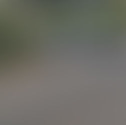 Acidente entre carro e carreta deixa um morto na MG-187, em Ibiá
