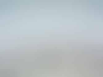 4TH BERLIN BIENNALE “OF MICE AND MEN” (二十日鼠と人間)Berlin Biennale, 2006