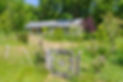 bala_353_290520.jpg