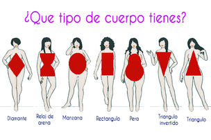 Tipos de cuerpo