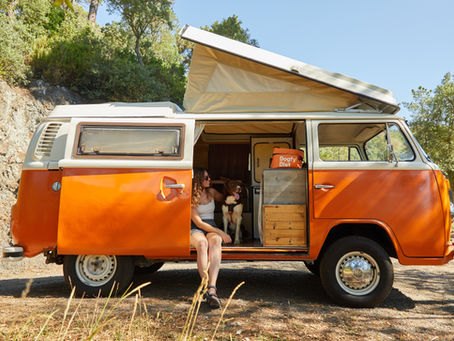 Can I Rent a Campervan With My Dog in Barcelona? Client Story Episode 3: Julieta