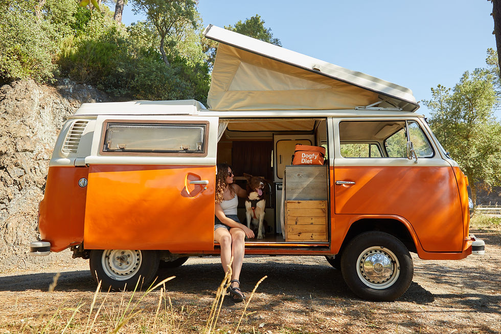 Can I Rent a Campervan With My Dog in Barcelona? Client Story Episode 3: Julieta