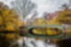 Prospect Park in NYC