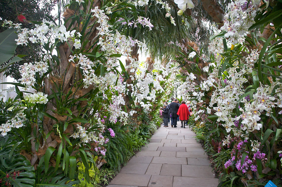 Botanical Gardens in NYC
