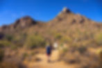 Person in a wide-brimmed hat walks on a desert trail under clear blue sky, surrounded by cacti and rocky hills. Bright and sunny setting.