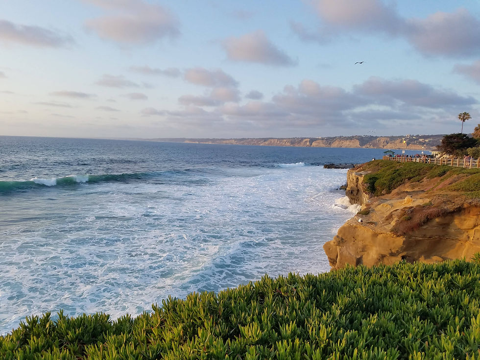 Coastal landscape with waves crashing on rocky cliffs at sunset. Green shrubs in foreground. Partly cloudy sky creates a tranquil mood.