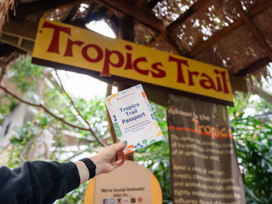 We’re bringing a travel-inspired adventure to Tropics Days 2026