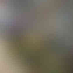 Side of a building with fishing gear