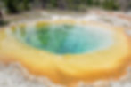 Turquoise hot spring with vibrant orange and yellow edges in a grassy forest setting, under clear skies, evoking a serene mood.