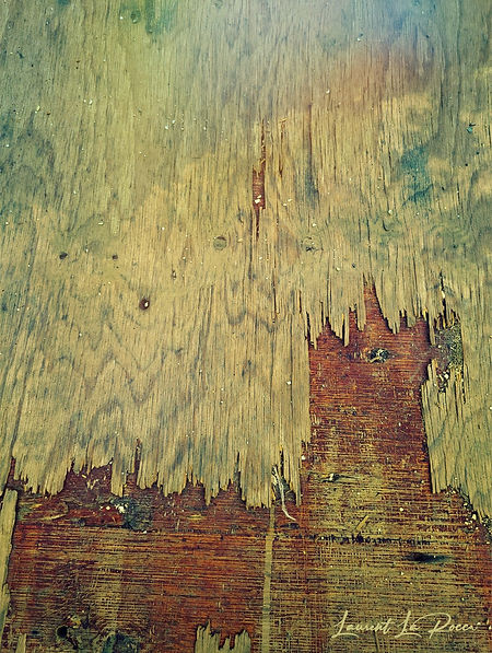 Forgotten castle