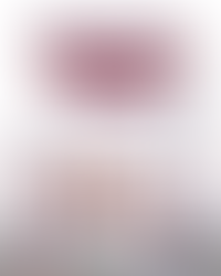 Speciality Summer Camps