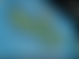 Premier Academy at the JVA World Challenge & 18U National Championships