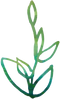 Growth_Value
