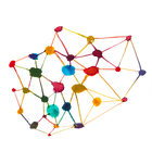 Network_WildflowerPrinciple