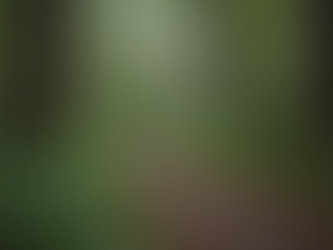 Help Solve the Brenda Kay Mills Cold Case Today