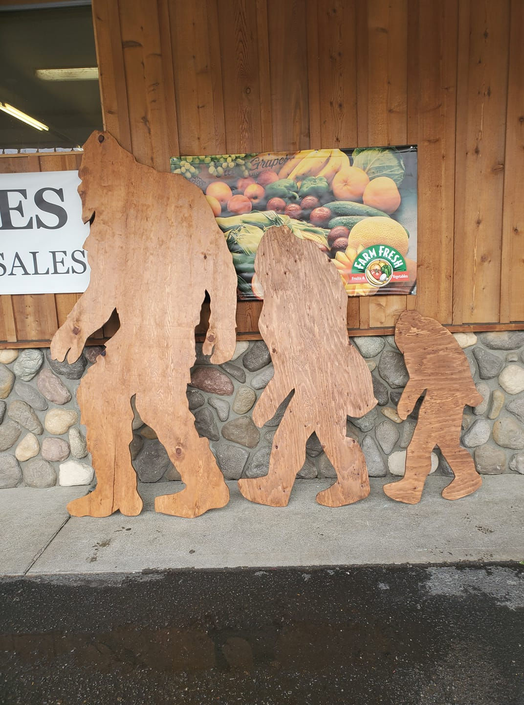 Sasquatch cut out