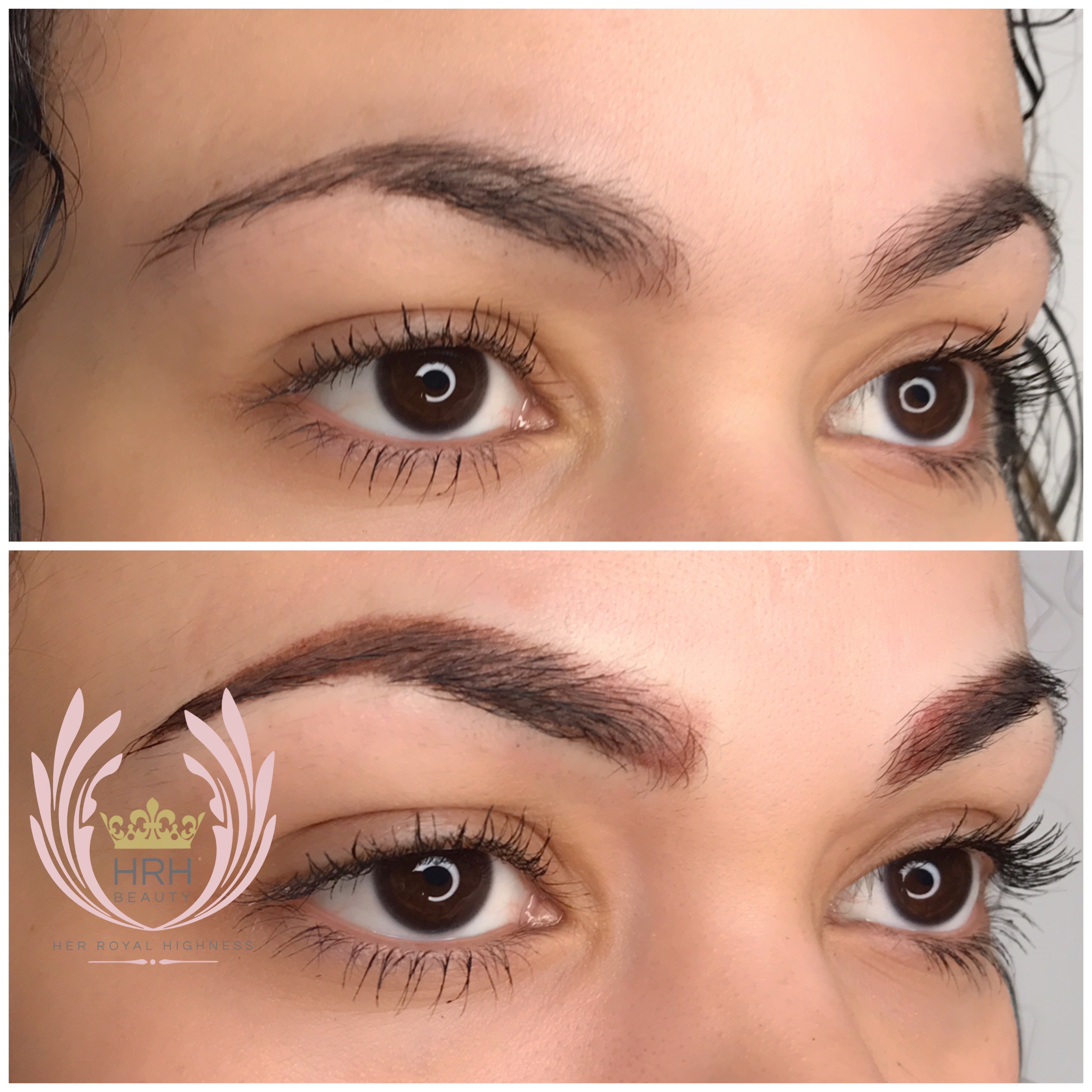 Ombre / Soft Shading Eyebrows Toronto | HRH Beauty