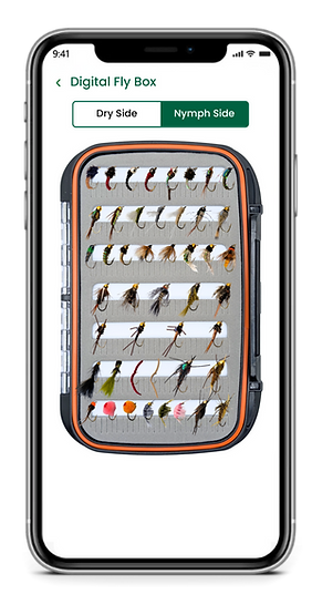 Digital Fly Box for landing page.png