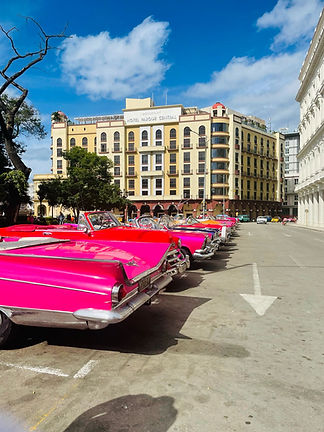 WhatsApp Image 2025-03-24 at 6.48.34 PM (1).jpeg