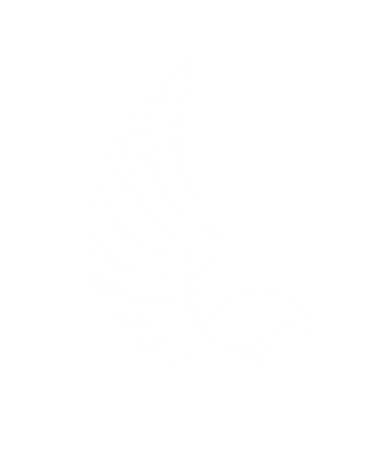 Design sem nome (2).png