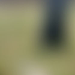 Pile of Leaves meets Farmer´s zum Training                                   