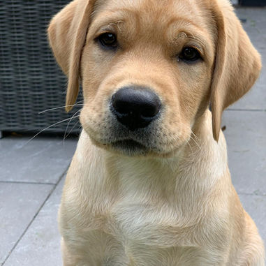 Update zu unseren A-chen