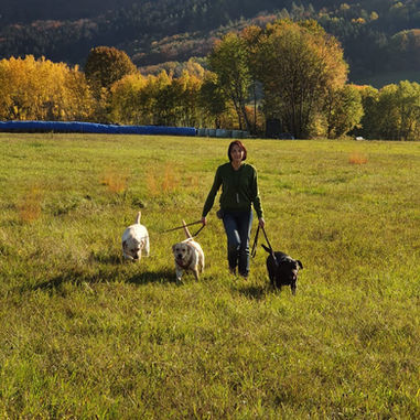 Gassirunde im Spessart ❤