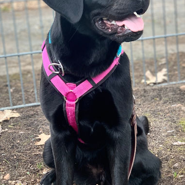 Ein Wiedersehen mit Tilly & Molly