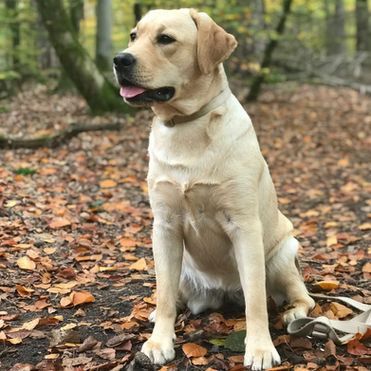 Neue Bilder von unserer Ruby