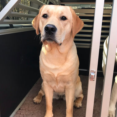 Wesenstest 2.0 für Ruby ❤