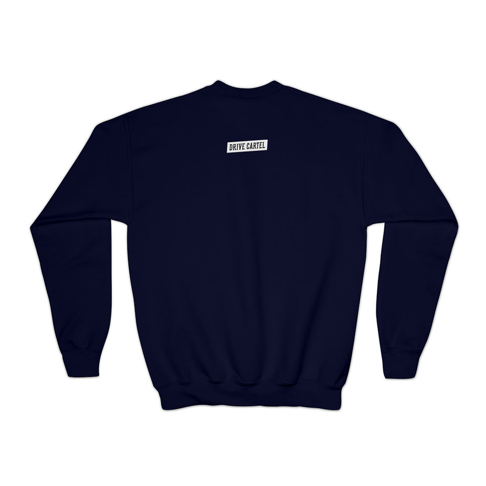 Thumbnail: DC Hoop V2 Youth Sweatshirt