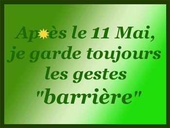 gestes-barriere04.gif