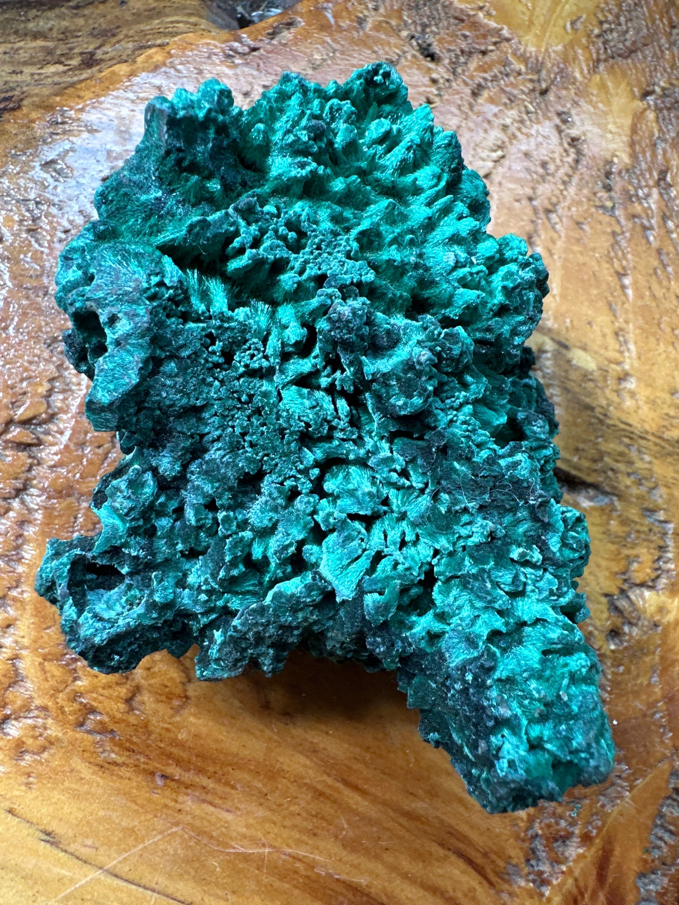Valvety Malachite Mineral, showcasing formations of vibrant green malachite crystals.