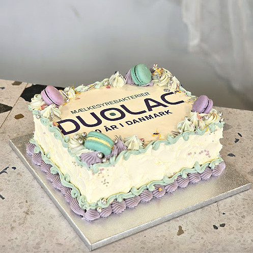 Logo company cake