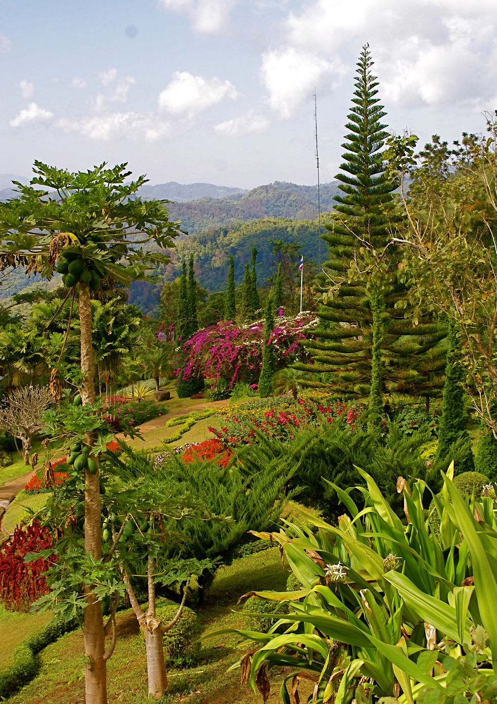 Asia_Thailand_Doi_Tung_Villa_–_Mae_Fah_L