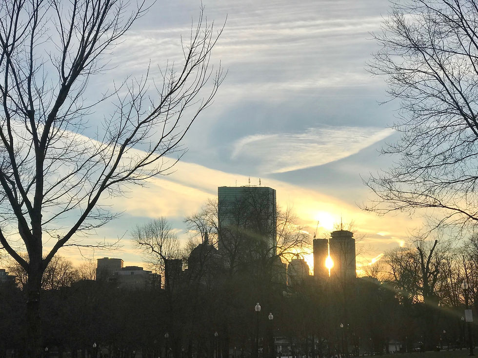 Christmas In Boston 2018 - 3