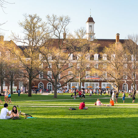 Freedom, Structure and the Transition to Post-College Life