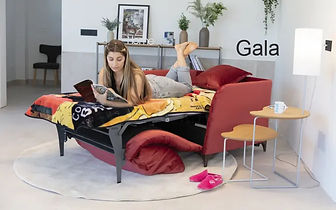 Gala_edited.jpg