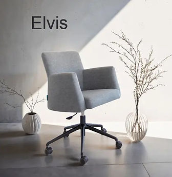 Elvis_edited.jpg