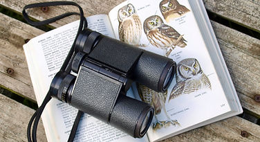 binoculars and bird guide