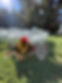 micro_wedding_setup_at_Bird_Ranch_Wedding_Venue-min.jpg