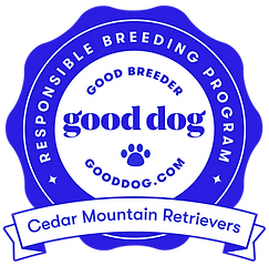 cedar-mountain-retrievers-badge.png