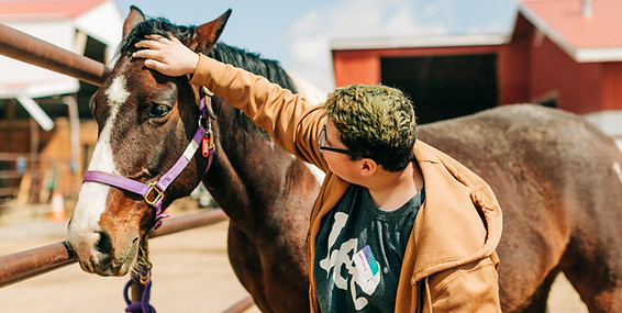 MedicineHorse-15 (1).jpg