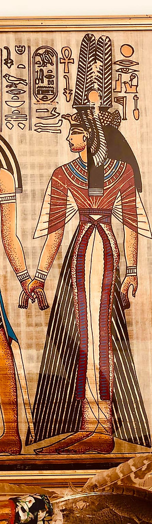 311097206_637325154488028_27701773498096