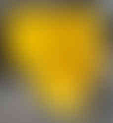 Caçamba Multiuso da SP Metal